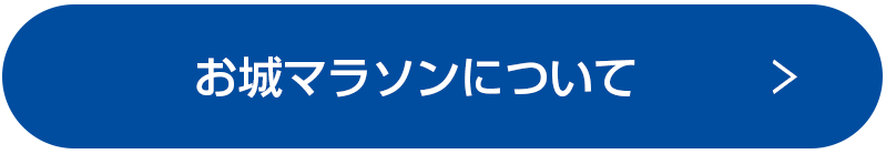 お城マラソンについて