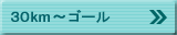 30km～ゴール