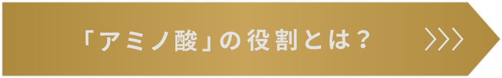 「アミノ酸」の役割とは？