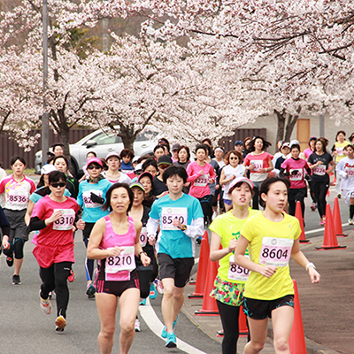 ただいま受付中！　桜の期待できる大会 vol.1