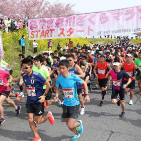 春風のなか走ろう！　いまエントリーできる4月のフルマラソン