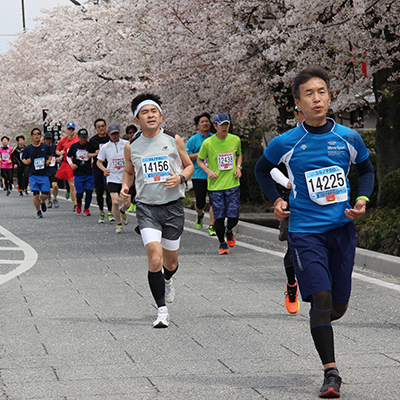 ただいま受付中！　桜の期待できる大会 vol.2