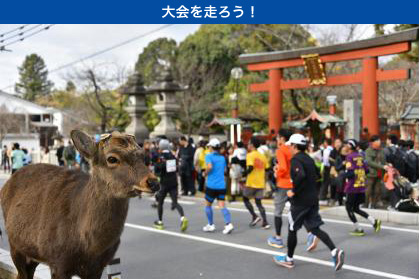 古都・奈良の世界遺産を駆け抜ける！「奈良マラソン」12月11日（日）開催