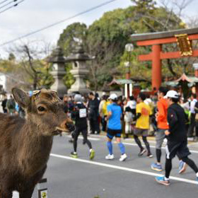 古都・奈良の世界遺産を駆け抜ける！「奈良マラソン」12月11日（日）開催