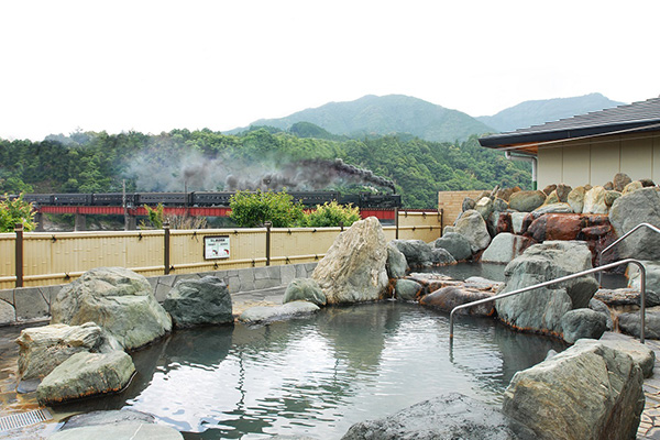 川根温泉や田代の郷温泉など島田市内の温泉も訪ねてみては？