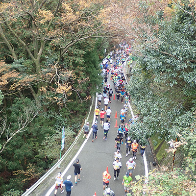 紅葉と清流を眺めながらタフな坂のコースを駆ける！「いびがわマラソン2023」11月12日（日）開催