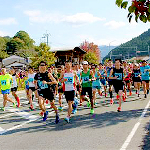 フルのためのトレーニングにも！秋を満喫できる11月のハーフマラソン