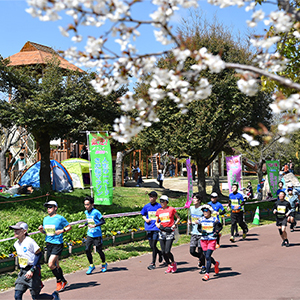 記録を狙えるフラットコースと地方色豊かなおもてなしが人気！「さが桜マラソン2024」3月24日（日）開催！