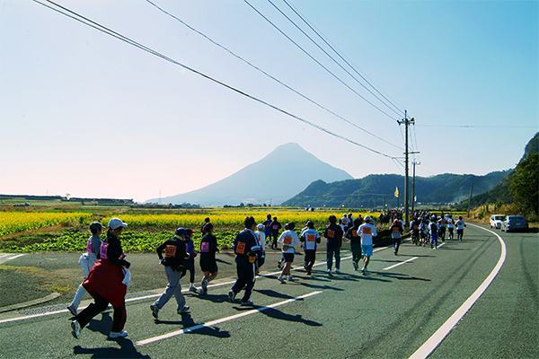 鮮やかな菜の花、「薩摩富士」開聞岳の絶景、そして温かなおもてなしが大好評！「第41回いぶすき菜の花マラソン」1月14日（日）開催！