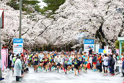 日本の春を満喫しよう！いまエントリーできる3月～5月のフルマラソン