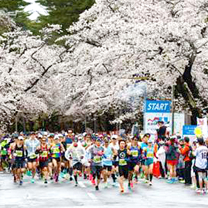日本の春を満喫しよう！いまエントリーできる3月～5月のフルマラソン