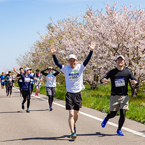 桜の名所で記録更新を狙う！「燕さくらマラソン」4月6日（土）開催