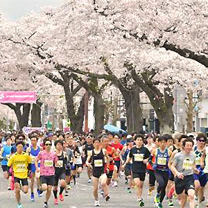 忘れてませんか？　間もなくエントリー終了の大会