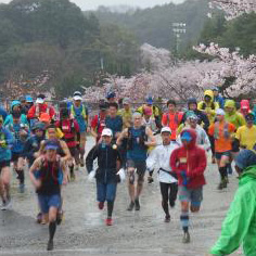 忘れてませんか？　間もなくエントリー終了の大会