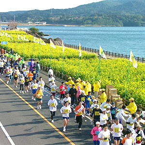 制限時間8時間！　年始は大会100撰常連の「いぶすき菜の花マラソン」で決まり！