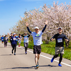 新年度最初の記録更新を狙うならココ！「燕さくらマラソン」4月12日（土）開催