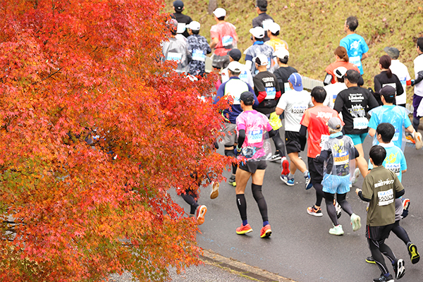 街を挙げた温かなエールで記録更新！「福知山マラソン」エントリー受付中