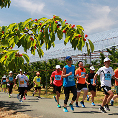 ルビー色に輝く美味しいさくらんぼと温かなおもてなし!「果樹王国ひがしねさくらんぼマラソン」