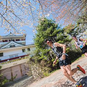 忘れてませんか？　間もなくエントリー終了の大会