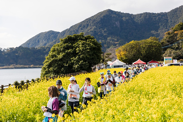 制限8時間で初心者やシニアも安心！ 　絶景とおもてなしの「いぶすき菜の花マラソン」（1月10日開催）