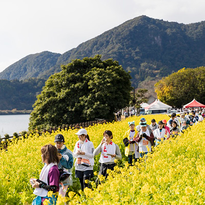 制限8時間で初心者やシニアも安心! 絶景とおもてなしの「いぶすき菜の花マラソン」(1月10日開催)