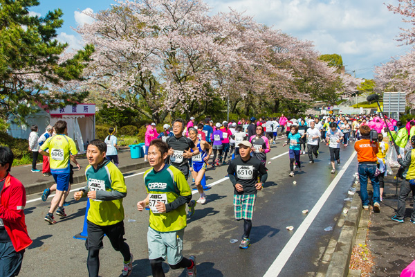 第35回 日本平桜マラソン