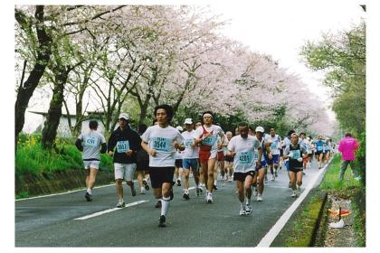 第36回 日本平桜マラソン