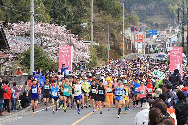 第12回四万十川桜マラソン