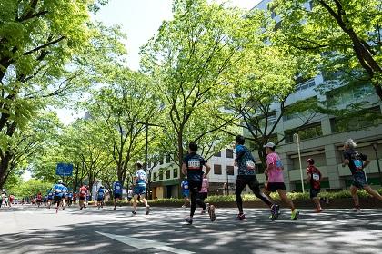 仙台国際ハーフマラソン大会 2021チャレンジレース【エリートの部/日本陸連登録競技者の部／一般の部】