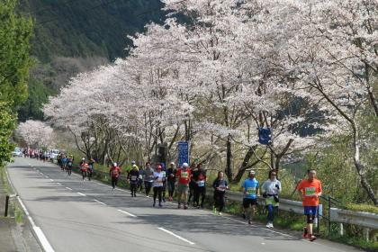 第14回四万十川桜マラソン