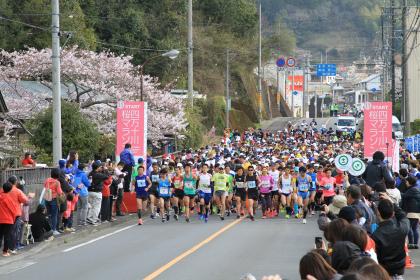 第15回四万十川桜マラソン