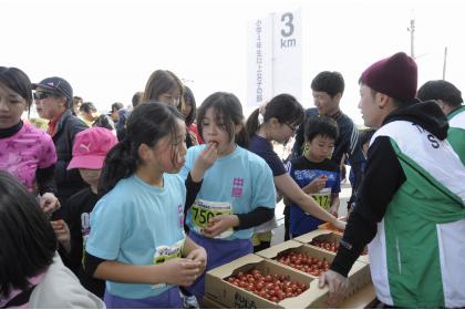 玉名いだてんマラソン2025／第45回横島いちごマラソン大会