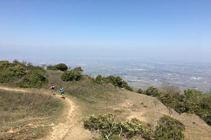 養老山地トレイルランニングレース