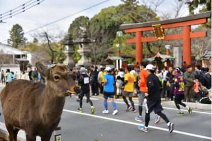 2026年5月31日（日） ～ 6月6日（土）にエントリー開始となる大会