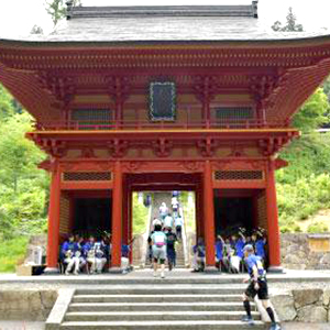 春から初夏のウルトラマラソン＆ロングトレイル