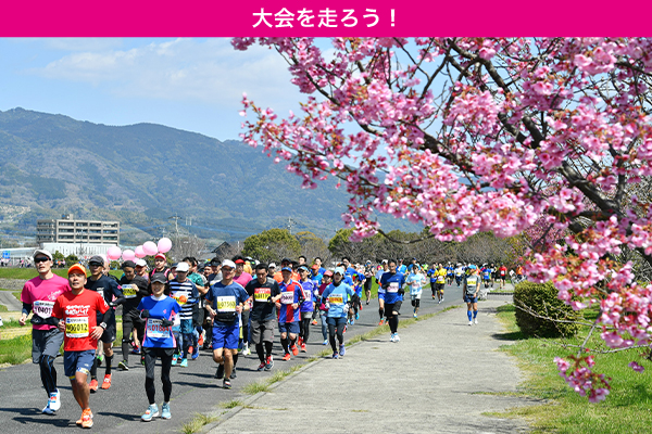 さが桜マラソン2023、4年越しの開催！　エントリーは10月13日まで