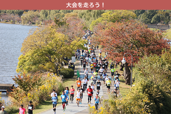 「ランナー応援隊」復活でさらに賑やかに！　水戸黄門漫遊マラソン10月29日（日）開催！