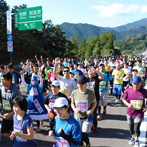 晩秋の日本を楽しもう！11月～12月初旬のハーフマラソン