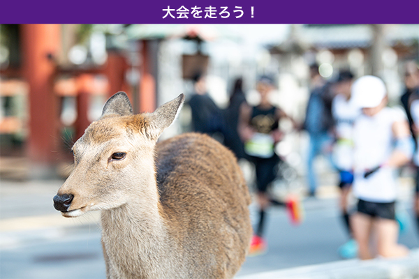 古都の世界遺産を駆け抜ける！12月10日（日）開催「奈良マラソン」締め切り間近！