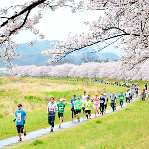春の到来を走って実感！4月のハーフマラソン