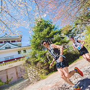 忘れてませんか？　間もなくエントリー終了の大会