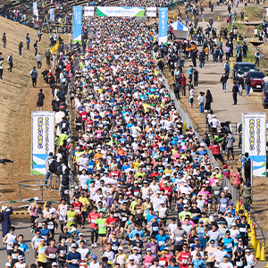締切は12/6！　制限時間7時間。万全サポートがうれしい都区内の公認大会「2025板橋Cityマラソン」
