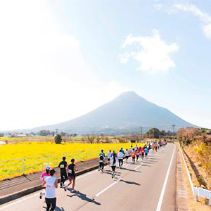締切間近！　いぶすき菜の花、紀州口熊野、袋井クラウンメロン　ほか