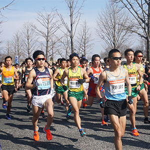 田園地帯の高速コース！春のレースシーズン到来を告げる「新潟ハーフマラソン2025」