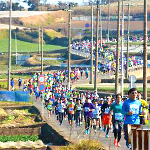 締切間近！　鳥取、三浦国際、飛鳥ハーフ　ほか