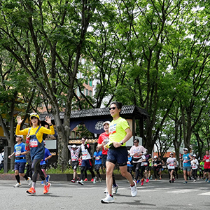 新緑の「杜の都」を駆ける！「仙台国際ハーフマラソン」12/6エントリー開始