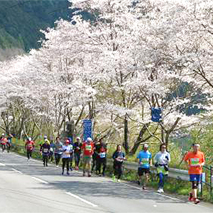 まだ間に合う！今シーズン（2月～3月）のフルマラソン