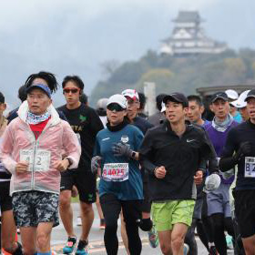 締切間近！　読売犬山ハーフ、五島つばき、佐倉マラソン　ほか