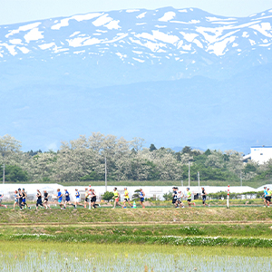 「大会100撰」選出の貴重な5月のフル。新緑と田園風景の中を駆ける「いわて奥州きらめきマラソン」締切間近！