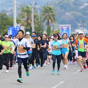 締切間近！　大紀町シーサイドトレイル、焼津みなとマラソン